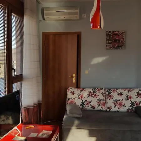 Unique Studio- Great Balcony And View! Parking Possibility! Lejlighed *